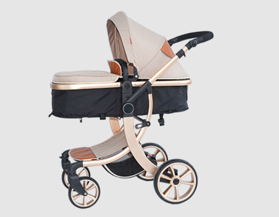 Why Does My Baby Hate the Stroller?cid=7