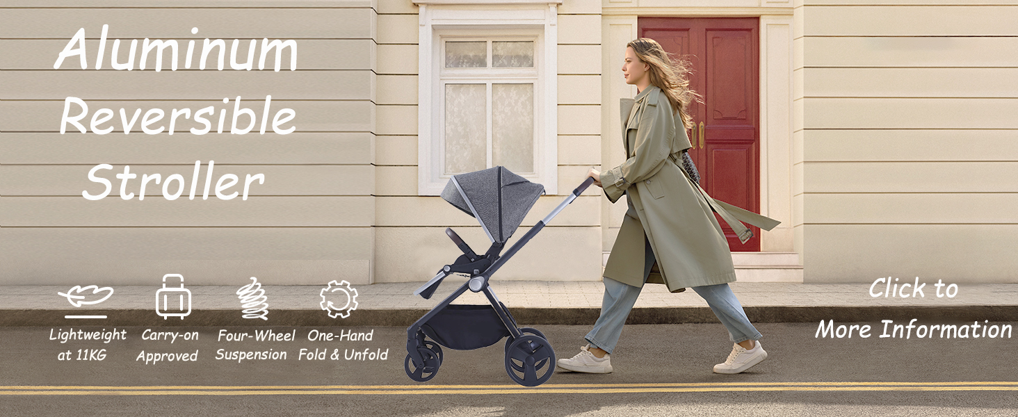 Aluminum Reversible Stroller