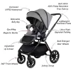 Plated Luxury Stroller