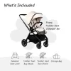 Luxury Stroller with Leather Handles