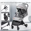 2-in-1 Car Seat & Stroller