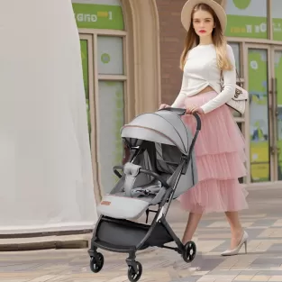 2-in-1 Car Seat & Stroller